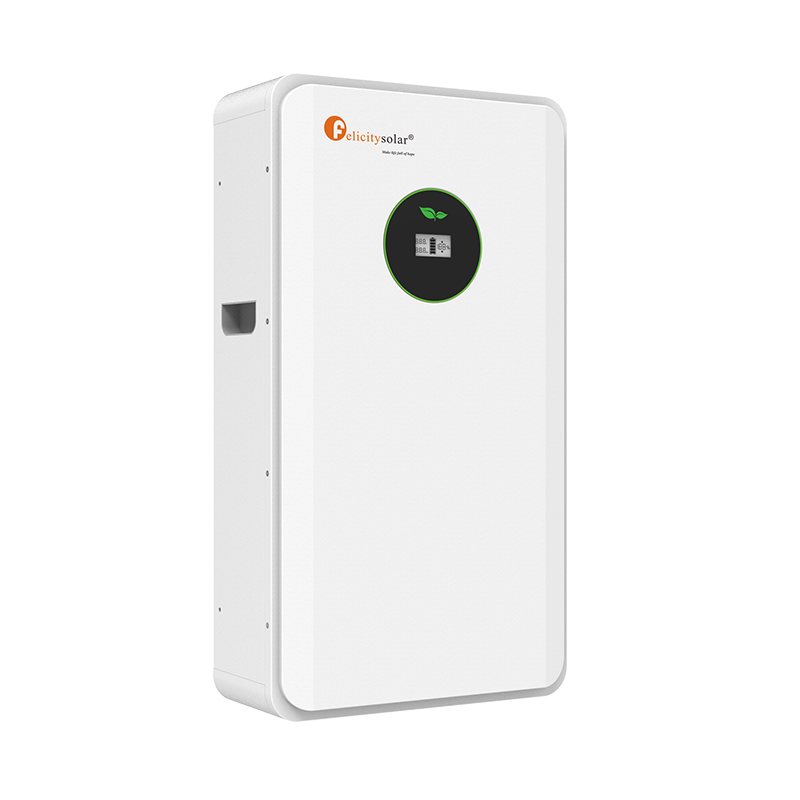 Fla48100 (3)